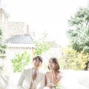 김호창 카카오 검색결과