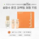 윤조빌딩 | 세안 직후 10초, 피부 나이를 바꾸는 설화수 윤조에센스 6세대 리얼 후기