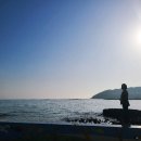 제주도 거문오름 예약 및 입장료 정보, 세계자연유산 직접 다녀온 후기