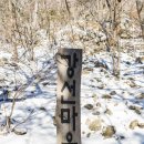 강선공원 | 곰배령 겨울 트레킹 예약방법(강선마을-산림청)과 후기