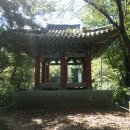 완산-169 Daum카페