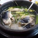 일광대복집 이미지