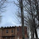 곰나루 | [익산 맛집]익산 양식 맛집/부모님과 방문하기에 좋은 식당 /바삭한 수제 돈까스 후기::‘곰나루성🍽️🍲🥘’