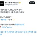 서울의 봄 1200만 돌파 이미지