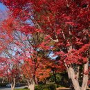 스포원파크 이미지