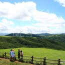 동양목장 이미지