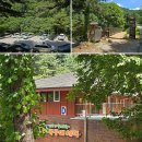 국내 힐링여행 국립 원주 백운산 자연휴양림 숲체험