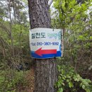 칠천도편백숲 이미지