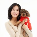 펫파크 - 용인시 기흥구 동백중앙로 221 | 펫파크