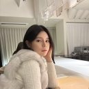 일드청담