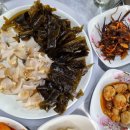 속초야식