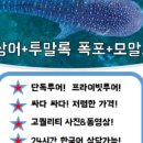 세부존투어자유여행