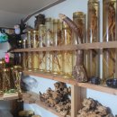 화령시장 이미지