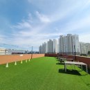 바나나 반려견 미용실 | 천안 불당동 애견동반 카페 곹 커피 내돈내산 재방문 후기