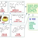 커피의 암 예방 효과 이미지