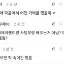 최태원 재산분할 파기환송을 분석한 어느 펨코 유저 이미지