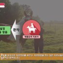 농생명산업 유망직업 – 재활승마 치료사 이미지