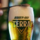 테라샵