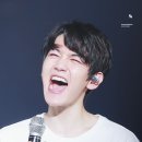서울루션