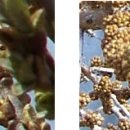 신성2호 이미지