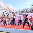 수양-0005 | 일본 도쿄 벚꽃축제 벚꽃놀이 명소 TOP 7