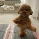 살랑살랑 이미지