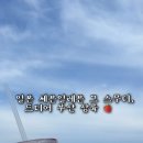 세븐일레븐 광안리점 네이버블로그