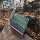 성호시장 | [영월 당일치기] 성호식당 / 청령포 / 한반도 지형 / 선돌 / 영월장릉 / 영월서부시장