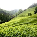 보성핸드폰 이미지