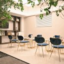 치아세상치과의원 이미지