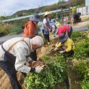 산마을 농장 이미지