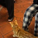 낯가림 민박 이미지