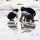 명지IC주변도로 이미지