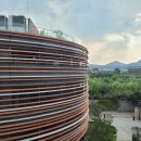 은행나무로(송현동) 이미지