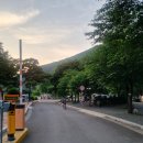 의령 거장산 오토캠핑 이미지