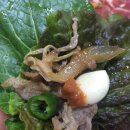 붕붕오리나라 이미지