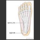바른메디 이미지