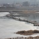 홍천메기매운탕 이미지