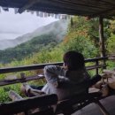 동정산장 이미지