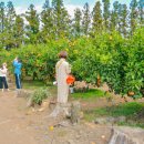 낭만농장 이미지