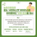 샤인바이러스