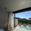 코스타리몬 이미지