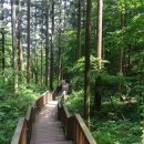축령산 산소길(4구간) 이미지