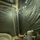 쉬리공원 | 캠핑하고 축제도 즐긴 하루! 강원도 철원 쉬리캠핑장 + 오대쌀축제