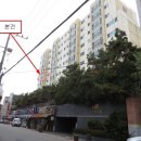 장안49 이미지