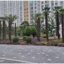 팔팔공인중개사사무소 이미지