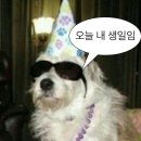 8월이다!🎂