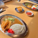 미세노센세 | 대전 | 탄방동 카레 맛집 미세노센세 n년 만에 재방문 후기