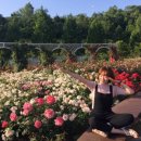 한방한재골하얀집 이미지