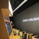 코코게임방 이미지